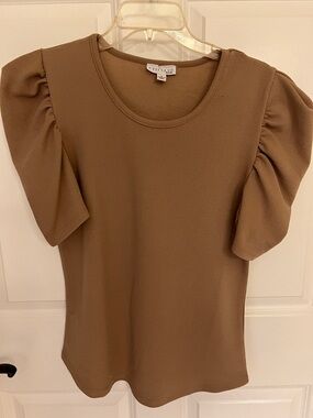 C'est La Vie Puff Sleeve Short Sleeve Top in Brown
